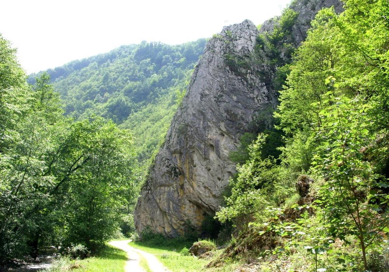 Cabana Daria Ribicsora Kültér fotó
