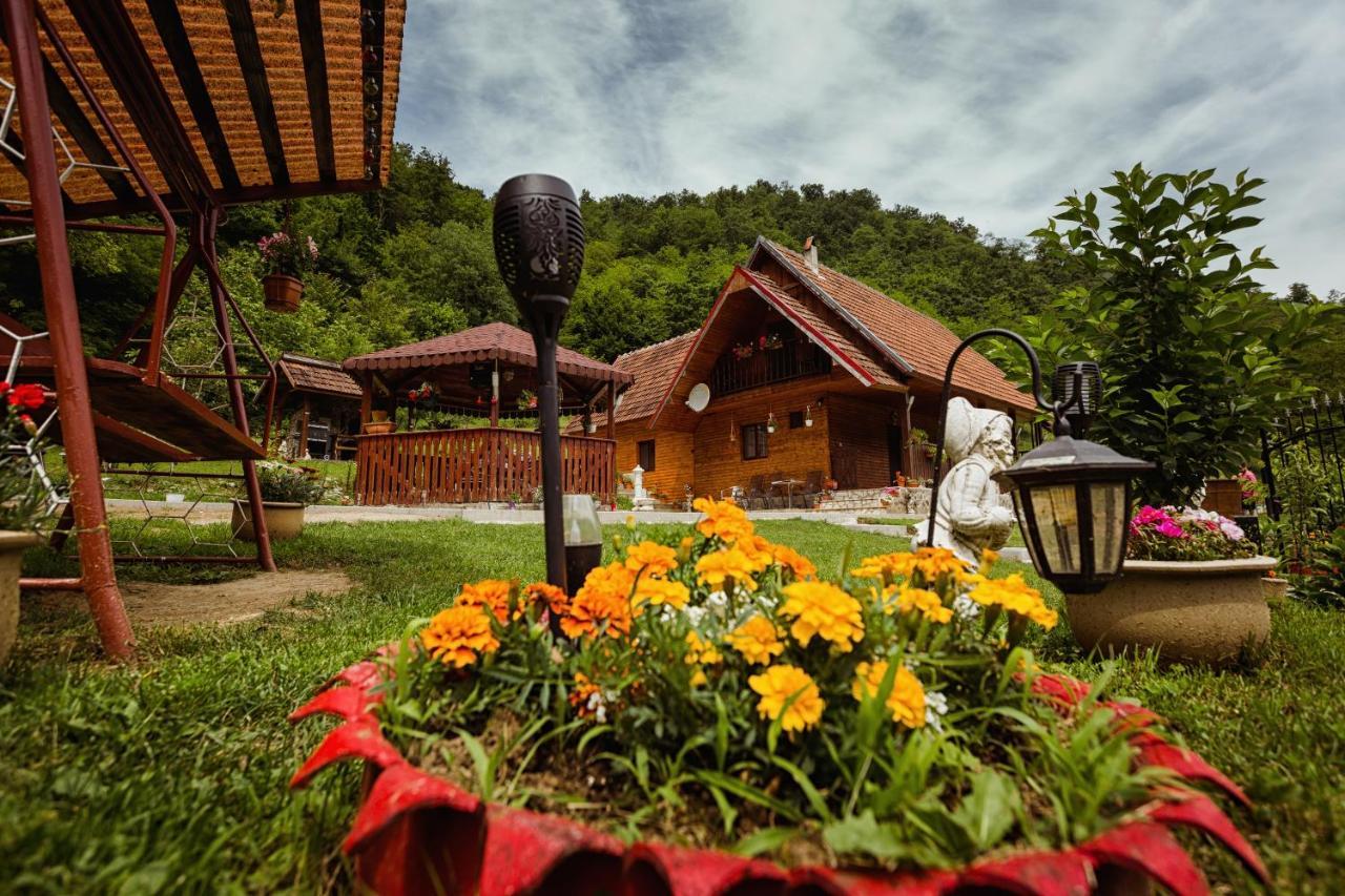 Cabana Daria Ribicsora Kültér fotó
