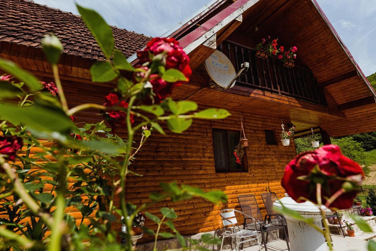 Cabana Daria Ribicsora Kültér fotó