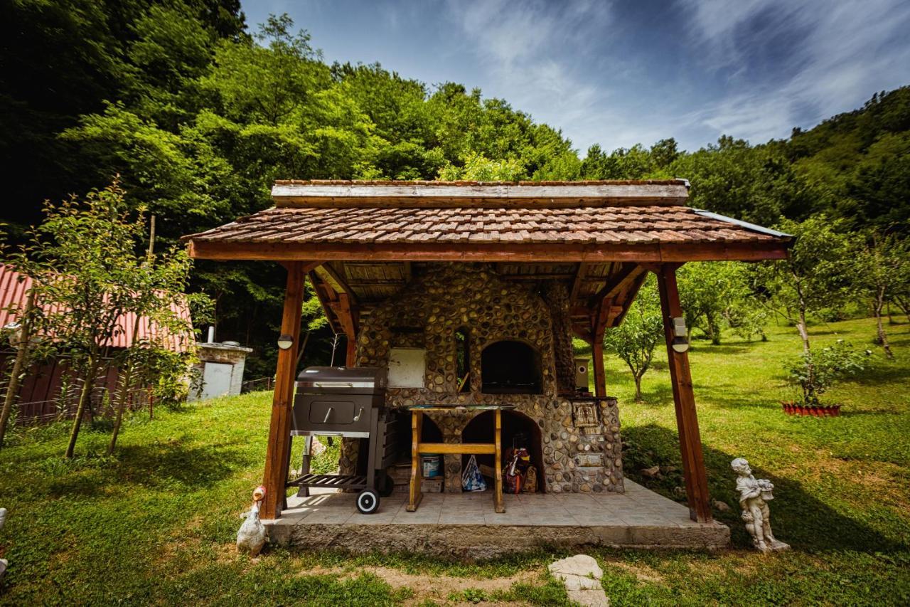 Cabana Daria Ribicsora Kültér fotó